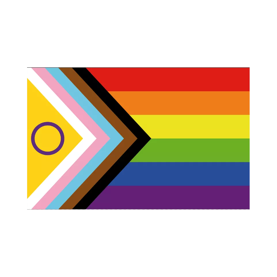 Vlag LGBTQI+