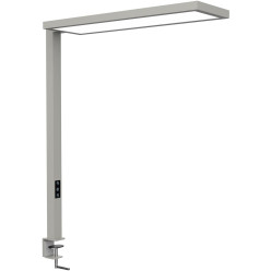 MAULsenja vloerlamp, LED, zilver