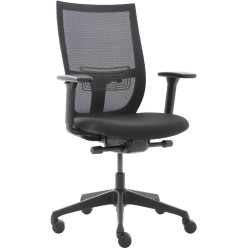 Euroseats Curve Desk Chair...