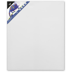 Kangaro 3D Stretched Canvas Frames 50 x 60 cm Set of 2 Pieces