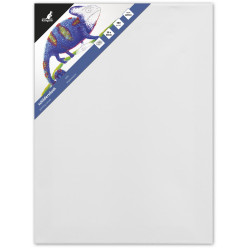 Kangaro Stretched Canvas Frame 30 x 40 cm