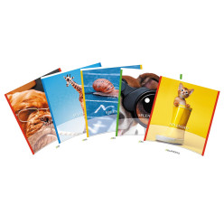 Splendid Notebook, 36...