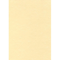 Decadry structuurpapier champagne, 165 g, pak van 50 vel