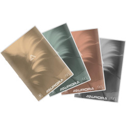 Aurora Writing Report...