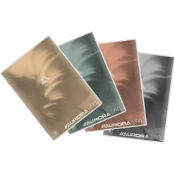 Aurora verslagschrift...