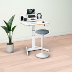 Leitz Ergo Elektrische...