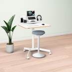 Leitz Ergo Station de...