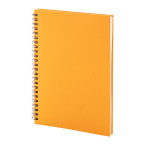 Strobus A5 orange  Carnet...
