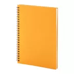 Strobus A5 orange  Carnet de notes 
