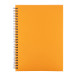 Strobus A5 oranje  notebook 
