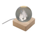 Borealis transparent natural Christmas light globe 