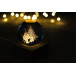 Borealis transparent natural Christmas light globe 