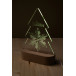 Woodify Xmas transparent natural Christmas tree LED light trophy 