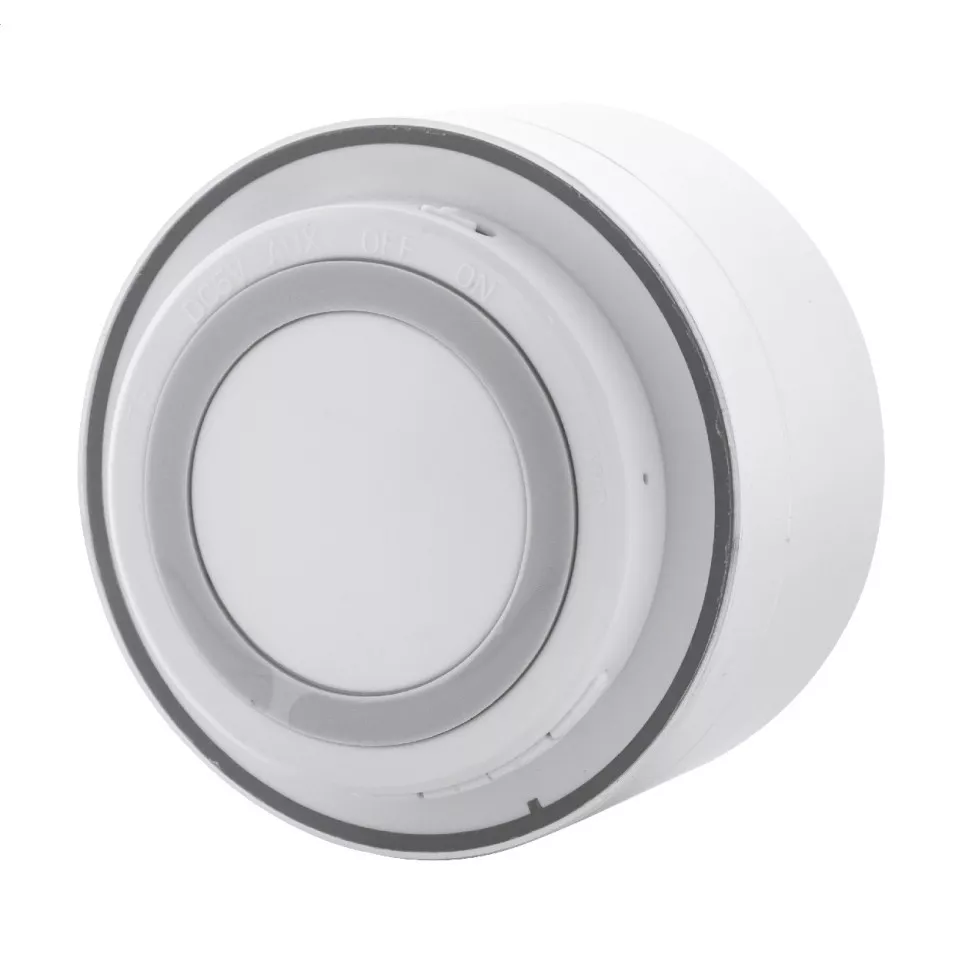 Ramesh zilver  draadloze luidspreker 