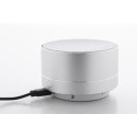 Ramesh silver  wireless speaker 