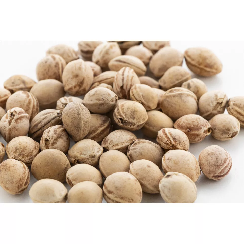 PitHeat wit  cherry seed kussen 