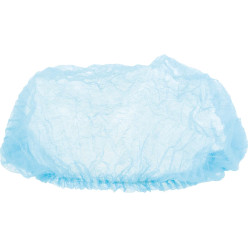 Blue Disposable Hairnets...