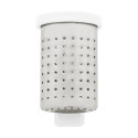 Leaflet white  tea infuser 
