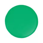 Ruvik green  frisbie 