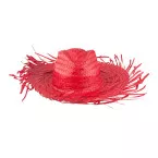Cevra rood  sombrero 