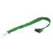 Revent green  RPET lanyard 