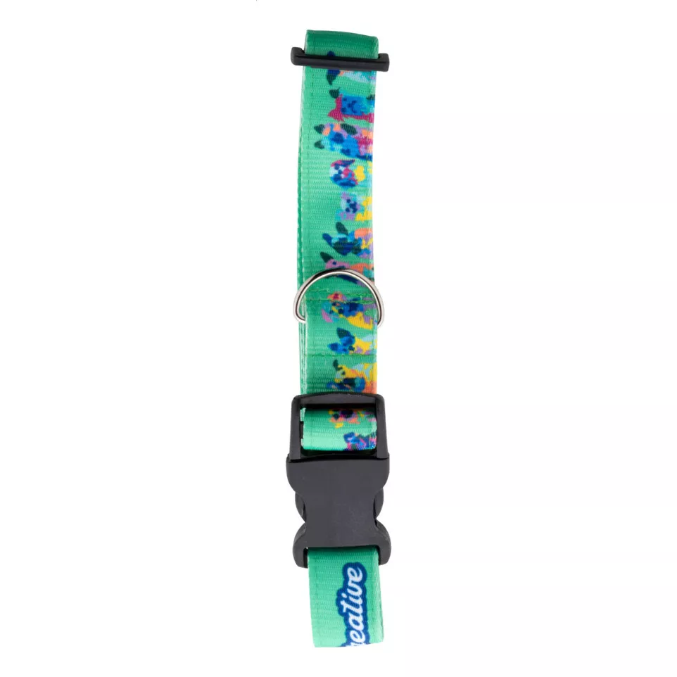 Ziggy blanc  Collier pour chien 