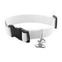Ziggy blanc  Collier pour chien 