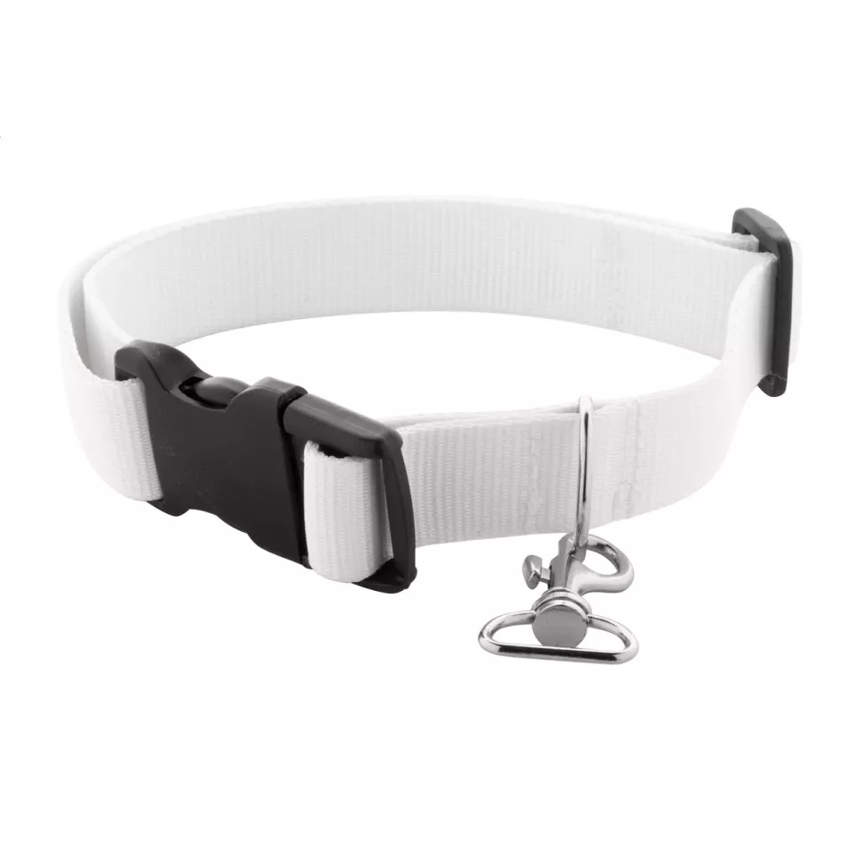 Ziggy white  custom dog collar 