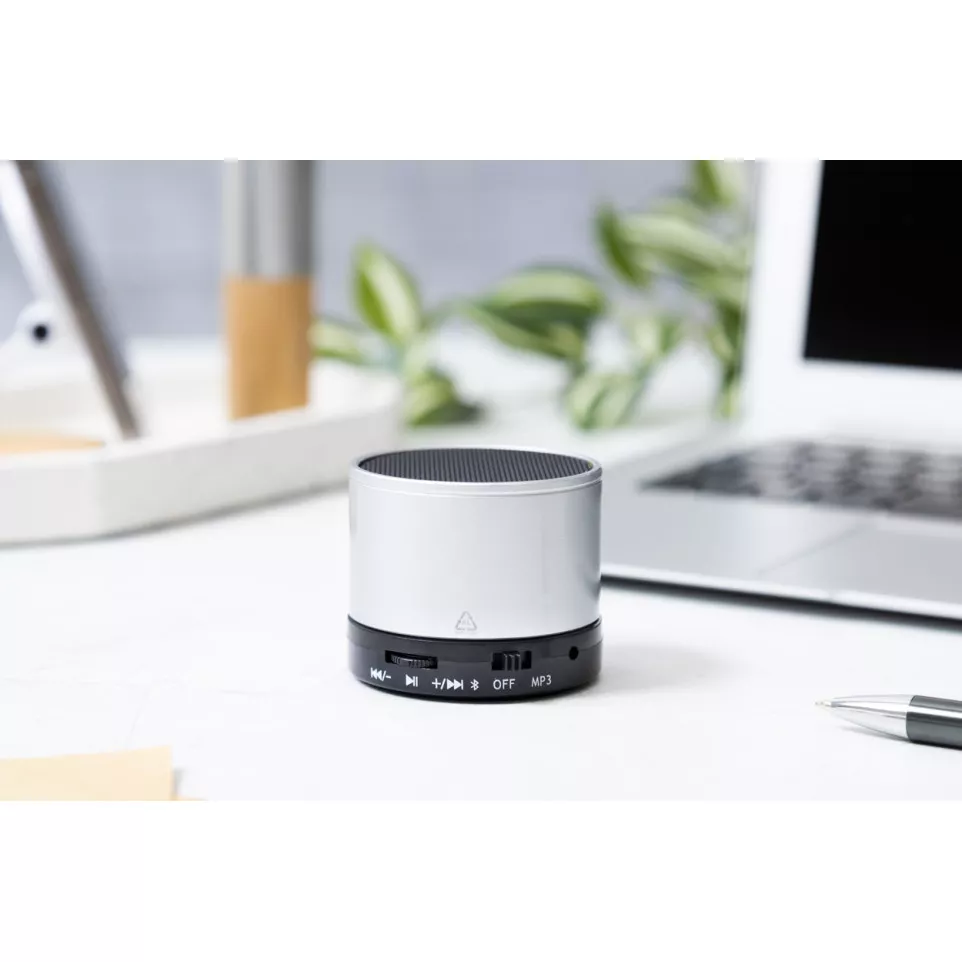 Ralufi silver  wireless speaker 