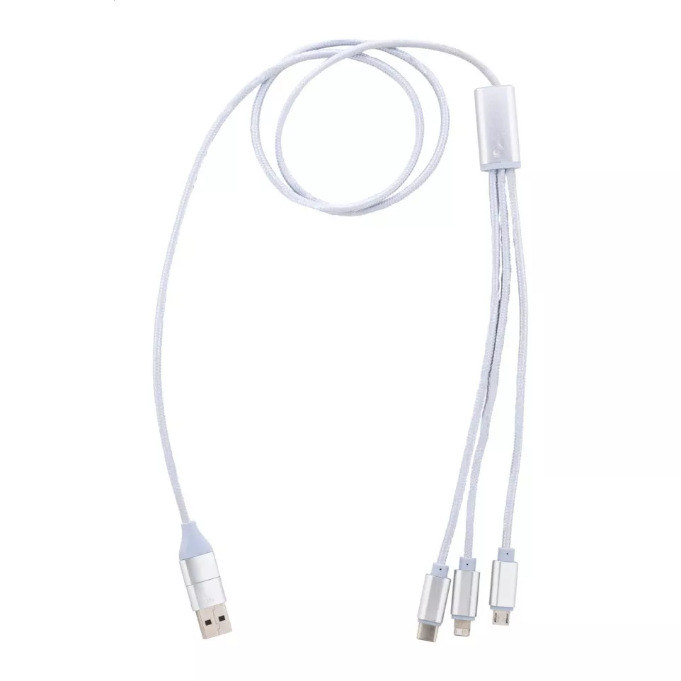 Ralong silver  USB charger cable 