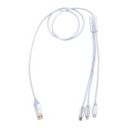 Ralong silver  USB charger...