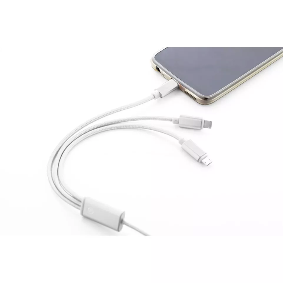 Ralong argenté  Câble chargeur USB 