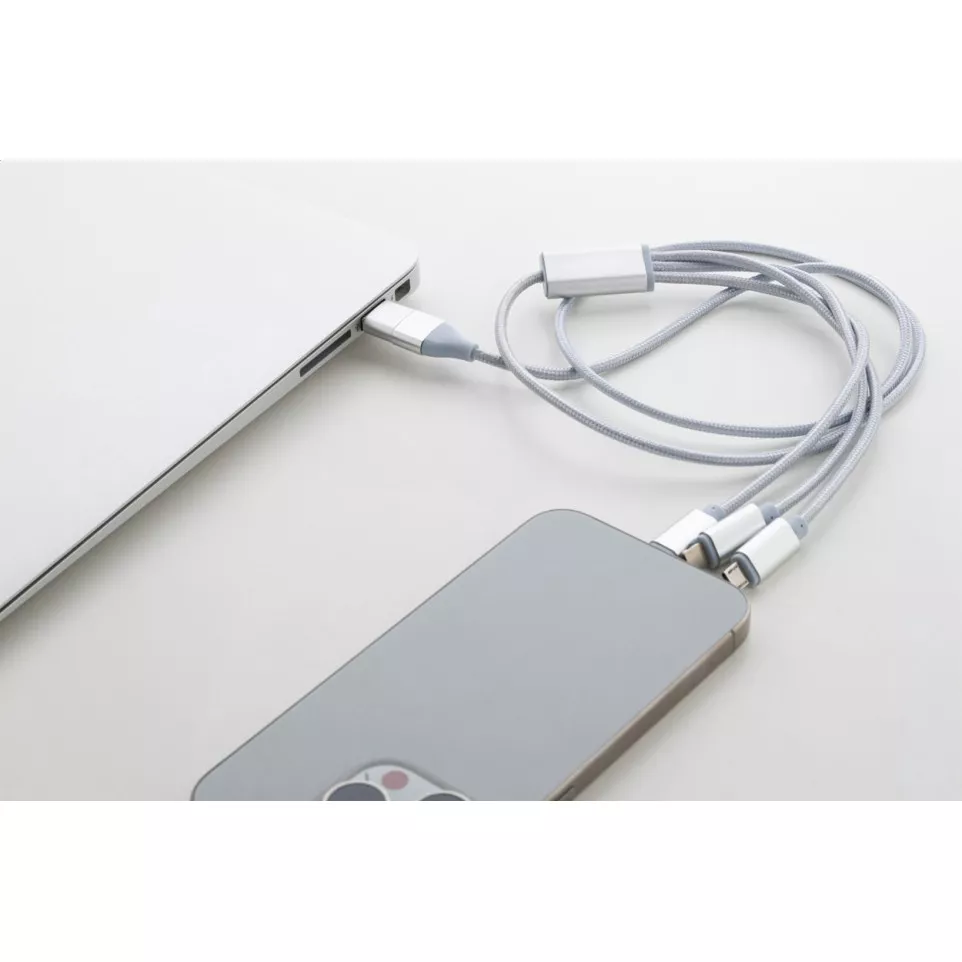 Ralong silver  USB charger cable 