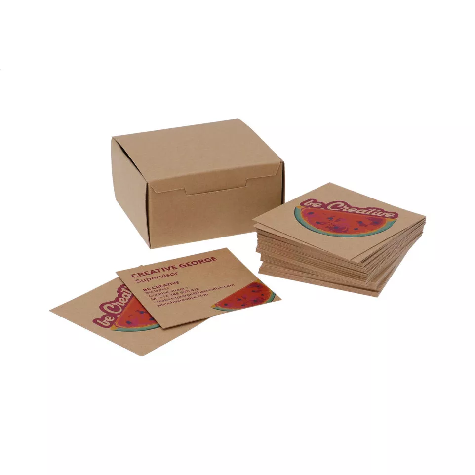 Visicard Square Eco naturelle  Cartes...