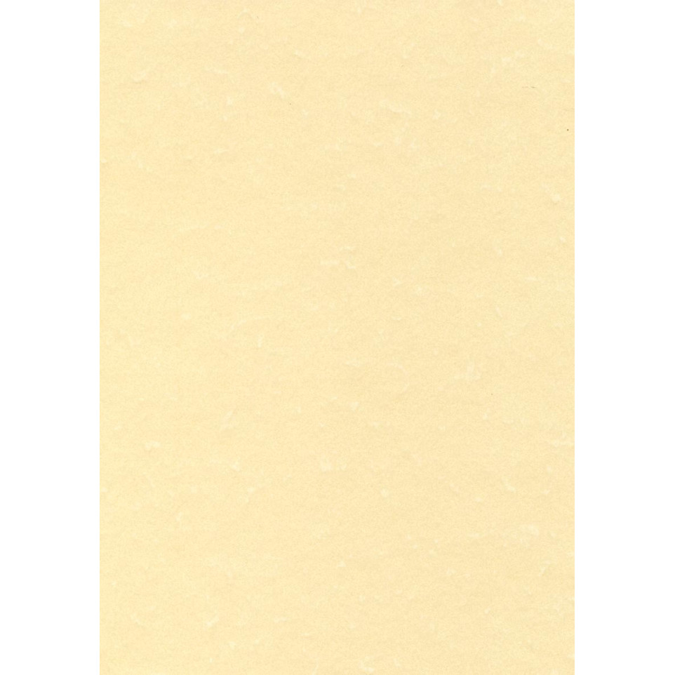 DECAdry PCL1677 - Papier texturé - champagne - A4 (210 x 297 mm) - 165 g/m² - 50 feuille(s) | Rakuten DECAdry PCL1677 - Papier texturé - champagne - A4 (210 x 297 mm) - 165 g/m² - 50 feuille(s) | Rakuten