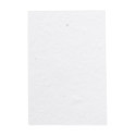 CreaStick Seed Note S white  custom sticky notepad 