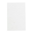CreaStick Seed Combo B white  custom sticky notepad 