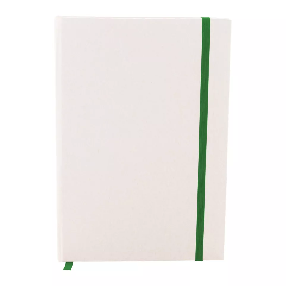Relact Note green  milk carton notebook 
