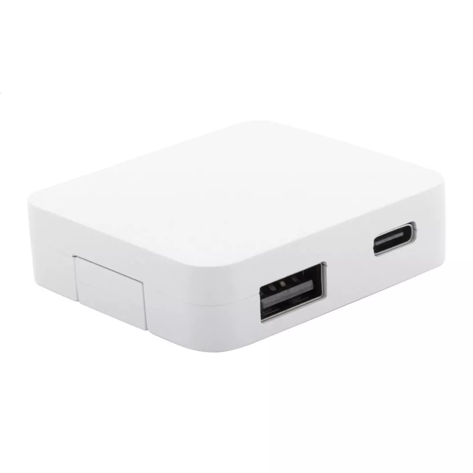 Rahubu wit  RABS USB-hub 