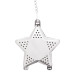 Suodatee silver  Christmas tea infuser, star 