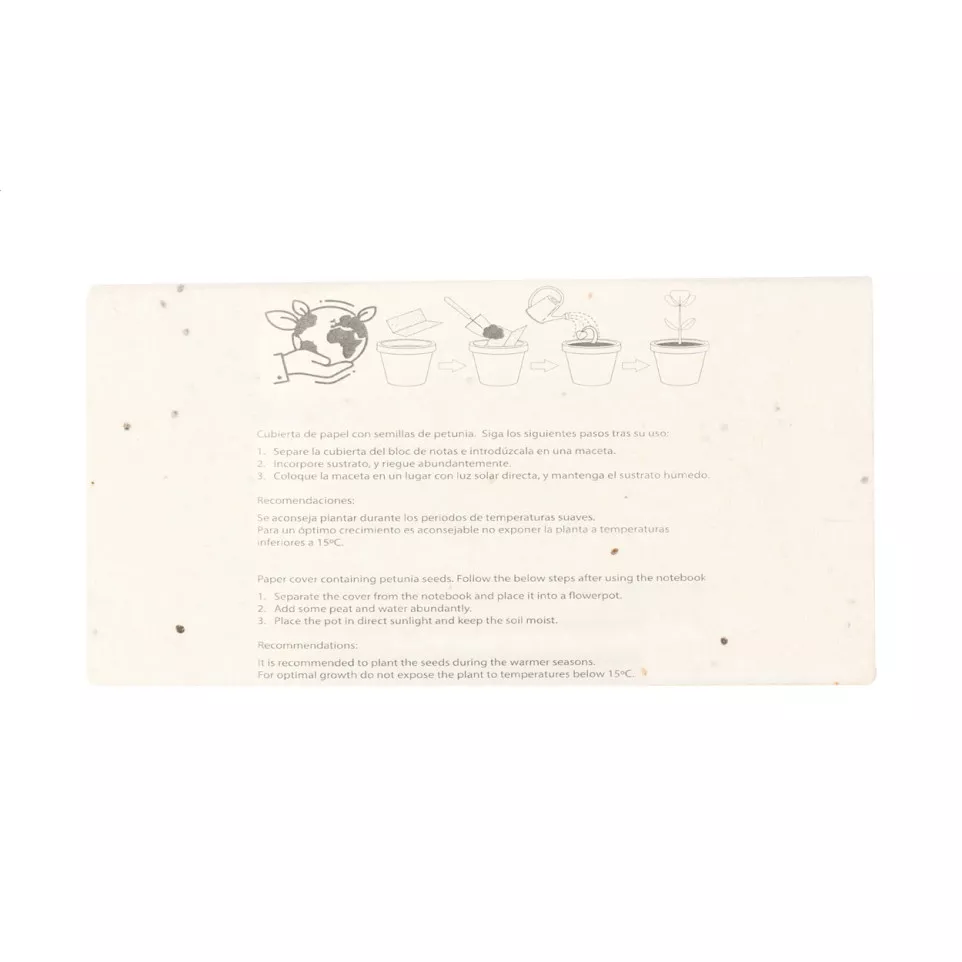 Sedox naturelle  Set de crayons 