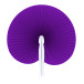 Vasto purple  fan 