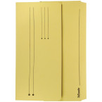 Esselte Yellow Card...