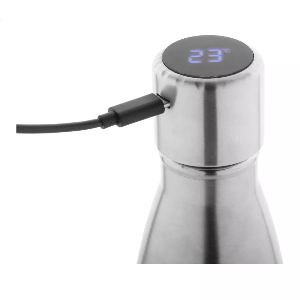 Reverest silver  insulated bottle 