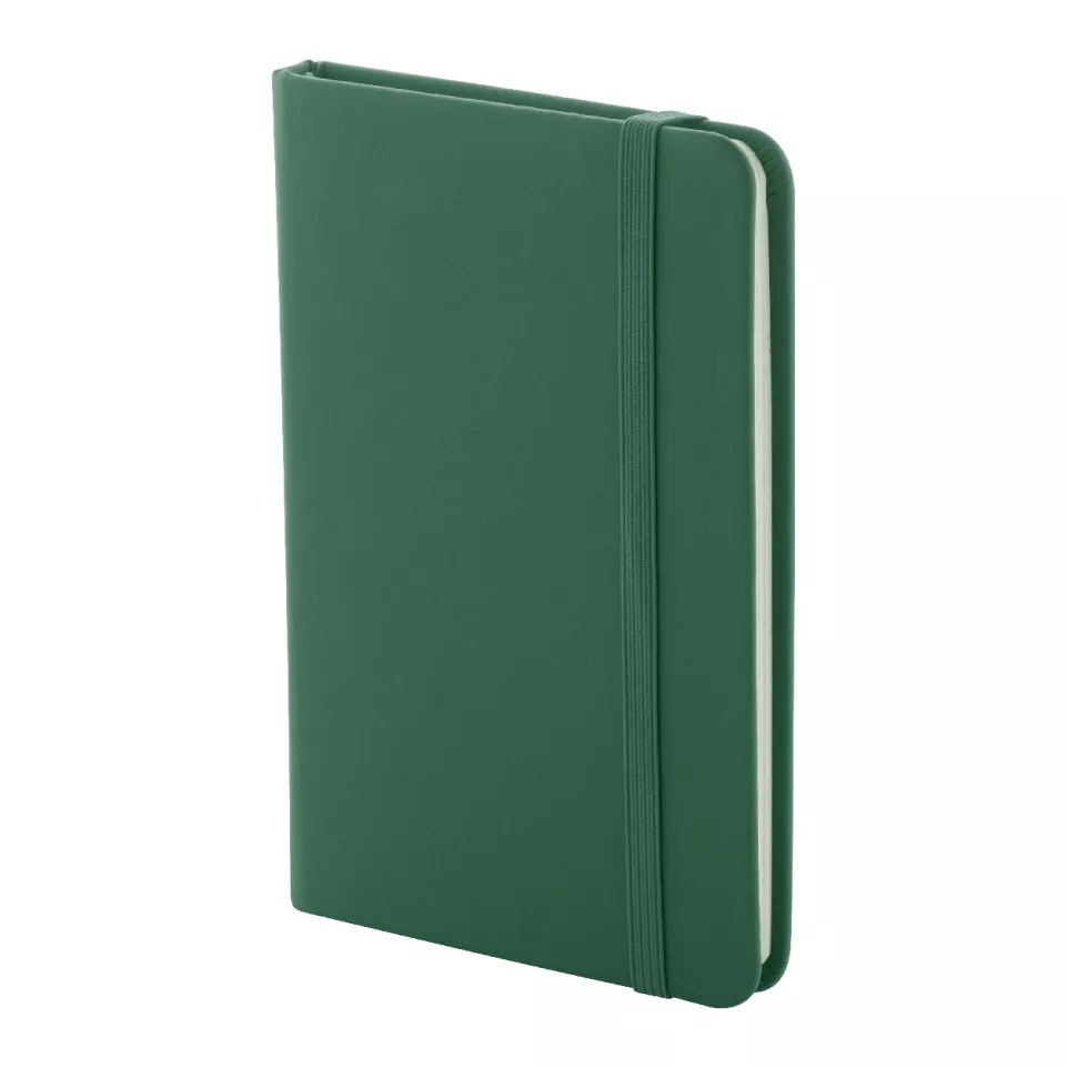 Repuk Blank A6 vert  carnet de notes...