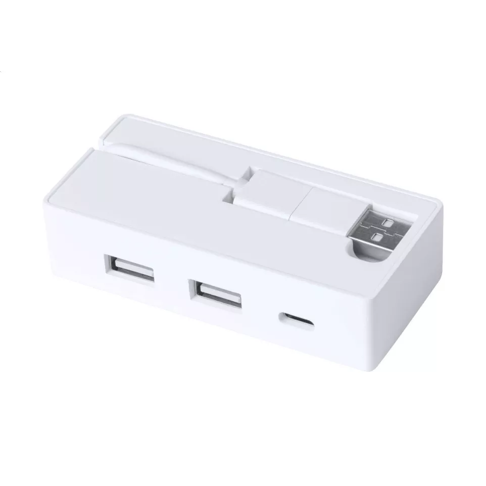 Bilkon blanc  Hub USB RABS 