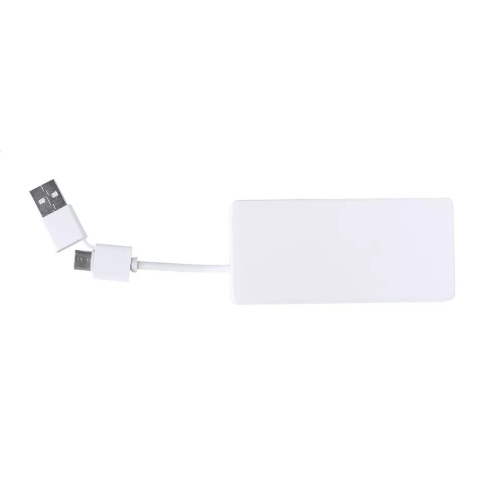 Bilkon blanc  Hub USB RABS 