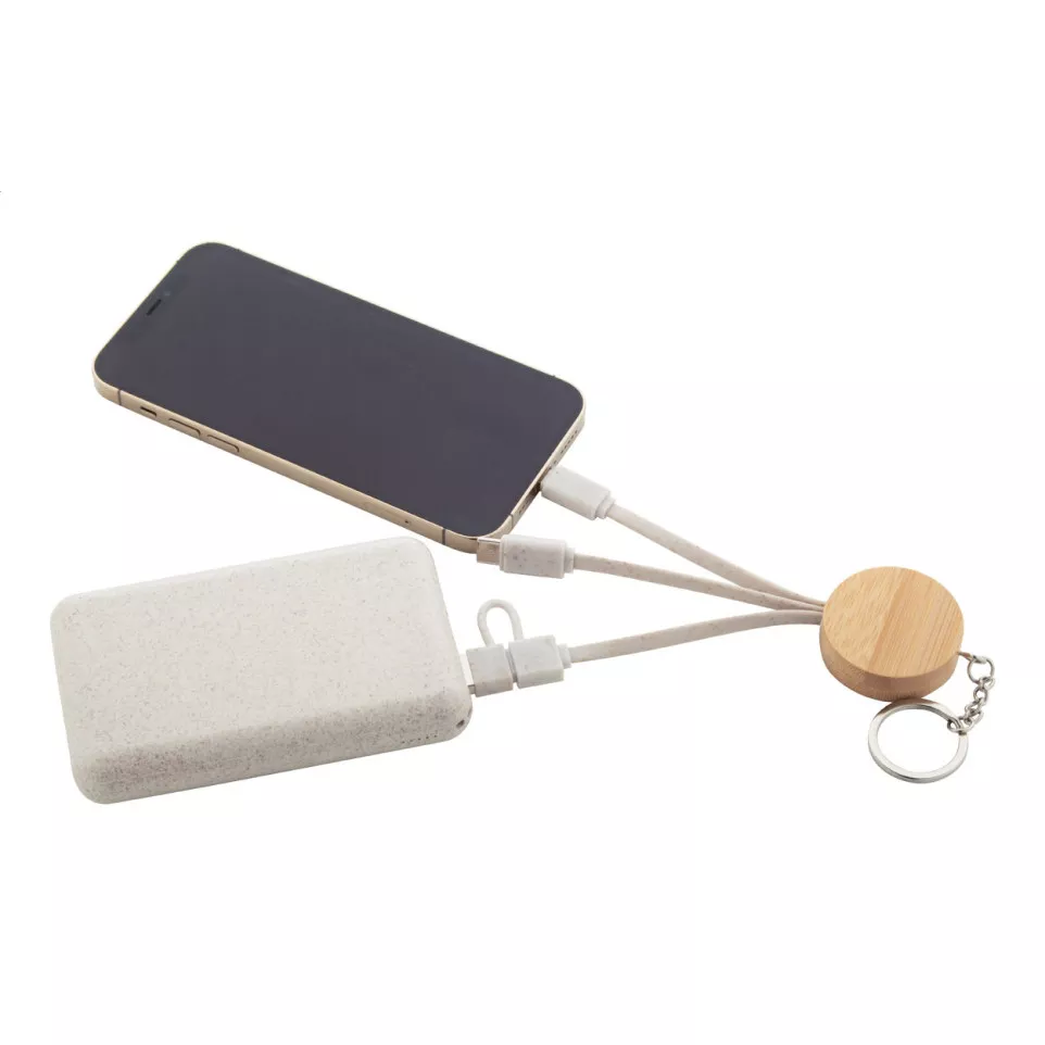 Mugory natural  keyring USB charger...