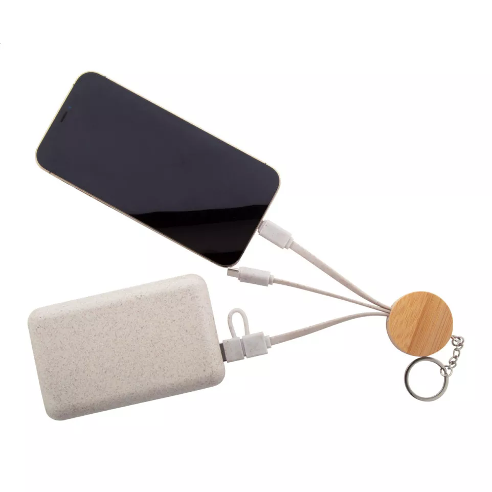 Mugory natural  keyring USB charger...