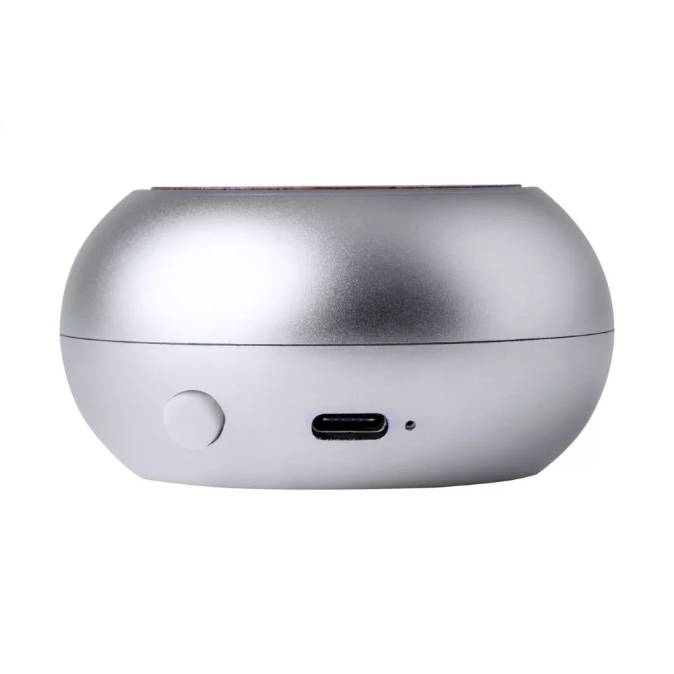 Aloid silver  wireless speaker 